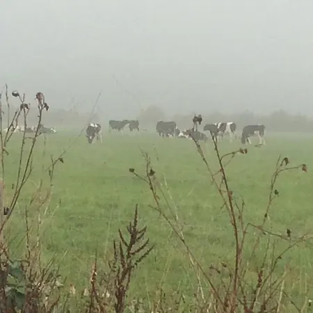 Appartement Bed&brood Comon *