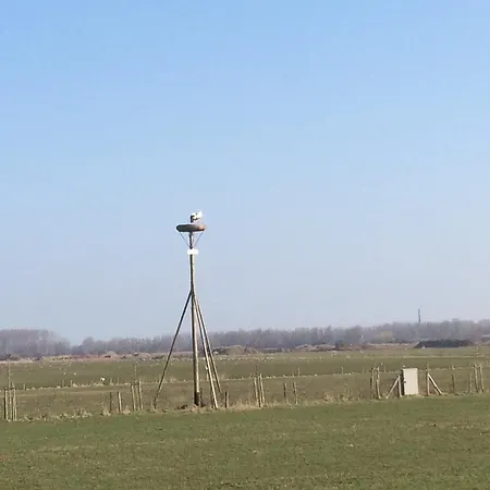 Bed&brood Comon Апартаменты Ubbergen