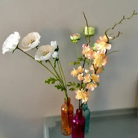 Bed&brood Comon Daire