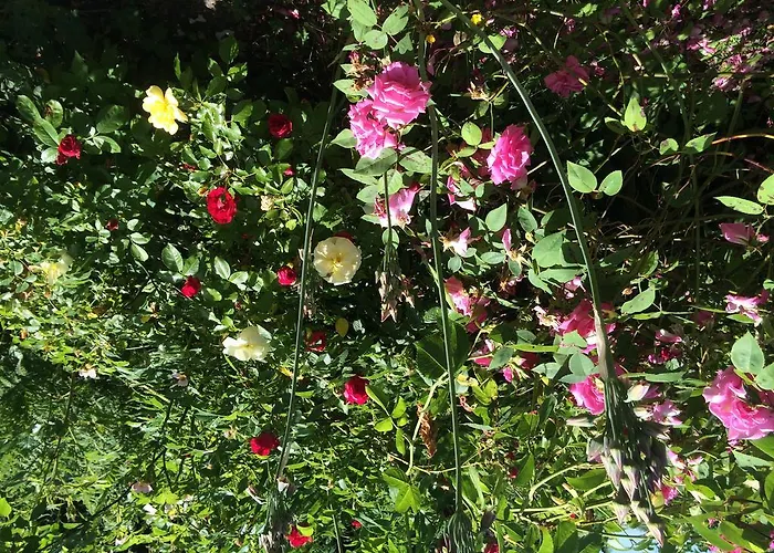 Bed&brood Comon Lägenhet *