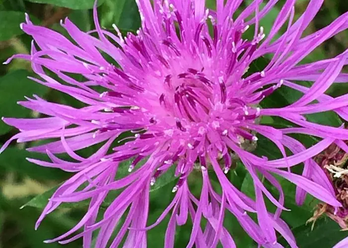 Bed&brood Comon Lägenhet *