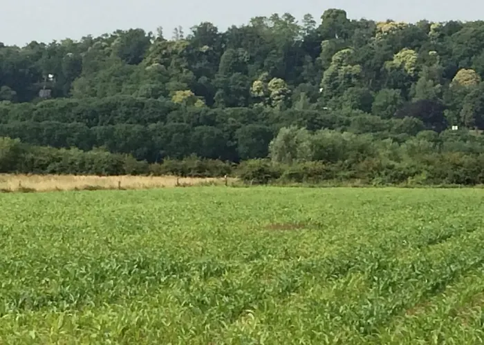 Bed&brood Comon Апартаменты *