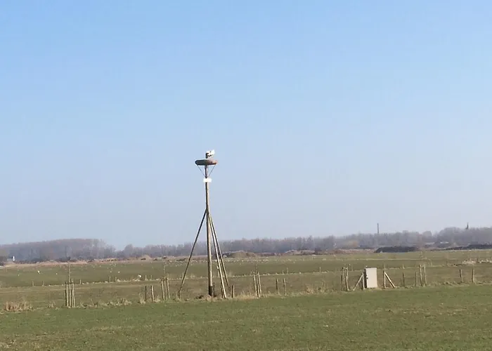 Bed&brood Comon アパート Ubbergen