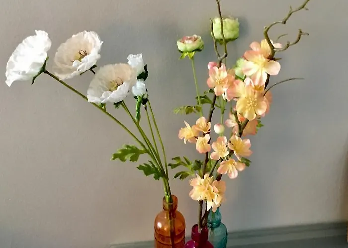 Bed&brood Comon アパート