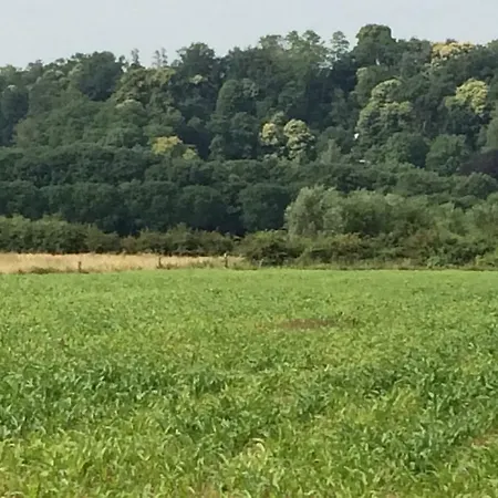 Bed&brood Comon Apartment *