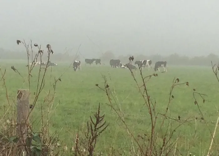 公寓 可蒙住宿加早餐旅馆 *